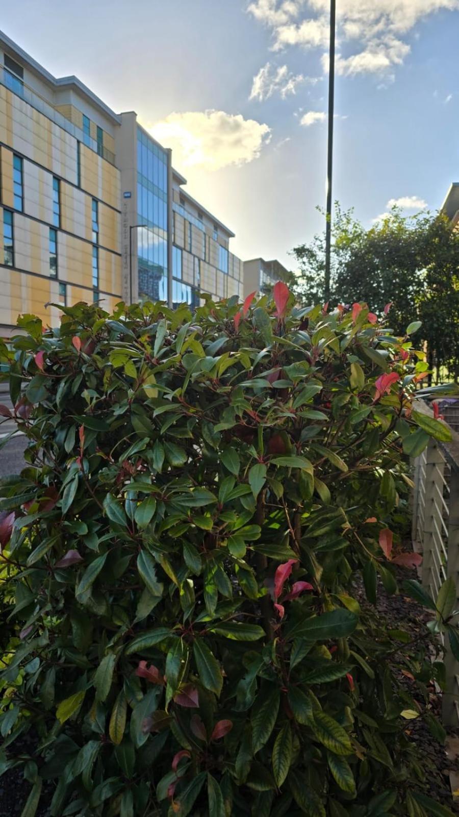 Luxury Green 1 Bed City Centre Apartment Close To Mailbox,Bullring, Broad Street For Leisure And Families Birmingham Exterior foto